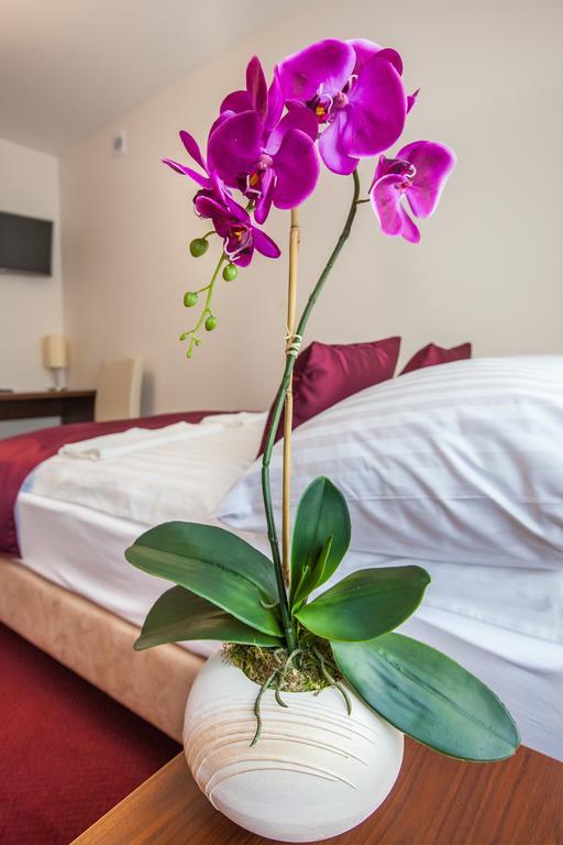 Hostel Zambrow Kamer foto